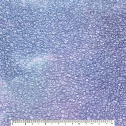 落水小雨 No.12